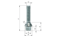 45mm Long Wheel Bolts Image