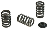 Piper Cams Single Valve Springs Image